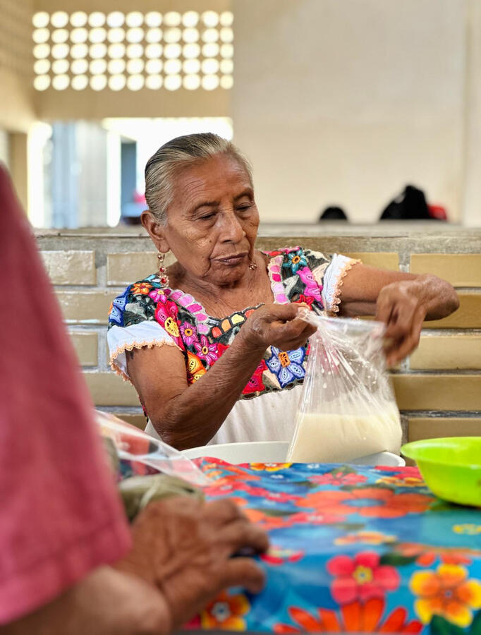 learn maya Traditions learn maya Traditions